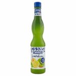 Fabbri Mixyfruit – Zucchero Liquido, 650g