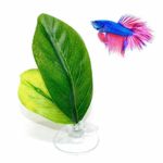 raspbery Betta Plant Leaf Amaca Riposo per Pesci Tropicali Letto Serbatoio di Pesci Acquario Spawning Foglia Pieghevole a Doppio Strato Typical