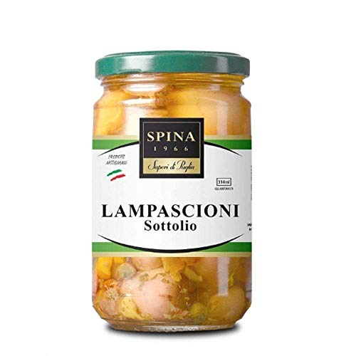 D’Amico Specialit Lampascioni Pugliesi Gr.290 – [confezione da 4]