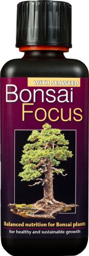 Growth Technology – Bonsai Focus, Fertilizzante liquido concentrato per bonsai, 300 ml