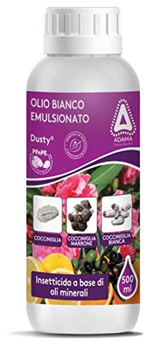 adama INSETTICIDA COCCINIGLIA Dusty Olio Bianco EMULSIONATO KOLLANT 500ml