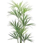 Kentia Palma – Albero Artificiale Elegante Lusso Da Arredo Interno – Alto 180 cm