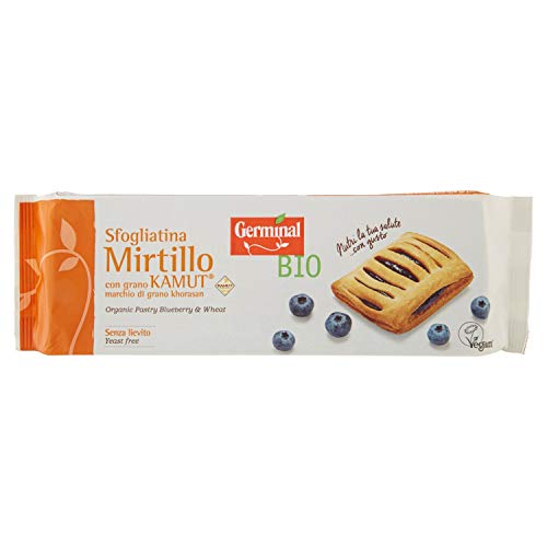 Germinal Bio Sfogliatina Mirtillo Kamut – 200 g