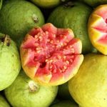 Portal Cool Selvaggio Guava Frutta Tropicale Psidium rosa hawaiana Guayaba Cimarrona Seed 15 Semi