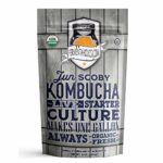 Fermentaholics Giugno Kombucha Starter Pack (Scoby + Starter Tea) Luce marrone