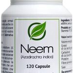 Integratore di purificazione e disintossicazione del sangue – Pulisce le tossine e favorisce la salute della pelle – Capsule di Neem, 60 pezzi – Prodotto di Himalaya (1-Pack)