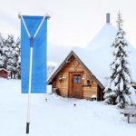 Roof Snow Removal System Dachschwader, Fensterreiniger-Set für den Winter, Schneeräumungs-Werkzeugmaschinen mit verstellbarem Teleskopgriff