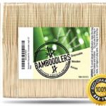 BAMBOODLERS Coltelli Monouso in Legno | 100% Naturale, Ecologico, Biodegradabile e Compostabile – Perché la Terra è fantastica! Confezione da 100- 16,5 cm Coltelli