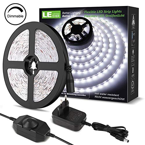 LE Striscia LED 5M 300LED SMD2835 Dimmerabile, 18W 1200lm Luce Nastro Luminoso Bianco Freddo 6000K per Decorazioni Interne, Kit Completo 2 Connettori, Alimentatore e Interruttore Dimmer