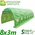 Serra Tunnel 8x3m con 9 arcate in Acciaio orto Giardino Piante Telo PE antigrandine