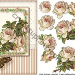 Vintage Roses decoupage card anteriore di Mary Macbean 2