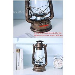 GCMJ Kerosene Lampade, Ultra Pure Lamp Lanterne con Manopola Dimmer Antiquariato Senza Fumo Inodore Lampada Campeggio (Color : Bronze) 5