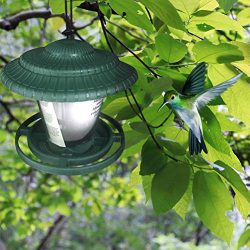 Mangiatoia per Uccelli Automatica, Mangiatoia per Uccelli Selvatici Sospesa a Forma di Casa, Stazione di Alimentazione per Uccelli, Contenitore per Alimenti per Uccelli per Giardino ed Esterno 7