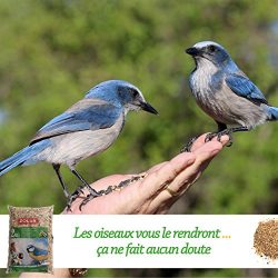ZOLUX Granaglie per uccelli da giardino – Alimenti uccelli 5