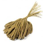 Britten & James® Premium Quality Spray da 10 pollici Millet. Circa 1kg.