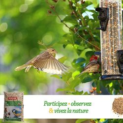 ZOLUX Granaglie per uccelli da giardino – Alimenti uccelli 6