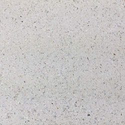 Pur Piastra refrattaria 625 X 500 X 40 mm 6