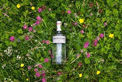 The Botanist Islay Dry Gin – 700 ml 7