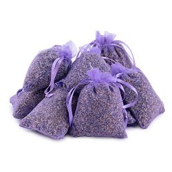 Pajoma 30870 10 X Sacchetti di Lavanda Profumata – Lavanda 100G Totale